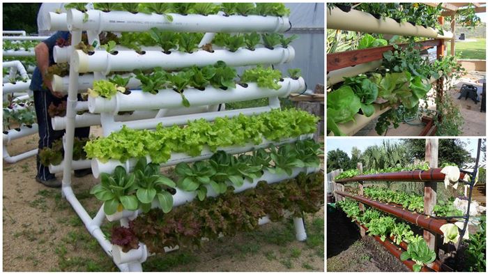 Growing Cannabis Jail Sentence | home hydroponic gardening | grow box 